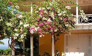 Polkerris Bed & Breakfast Montego Bay